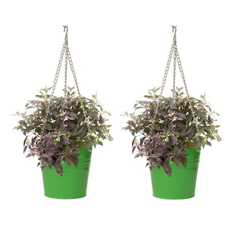 Next2Nature S/2 Enameled Galvanized Steel Hanging Planter NE3539572